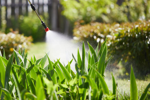 24/7 Emergency Rodent Control experts in Burkesville, KY