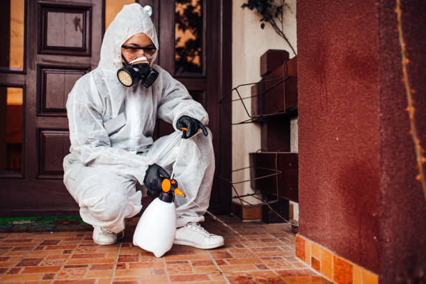 Reliable Rodent Control contractor in Burkesville, KY by Nex Pest Control