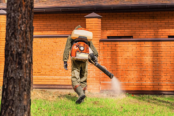 Trusted Cockroach Control service in Burkesville, KY - Nex Pest Control